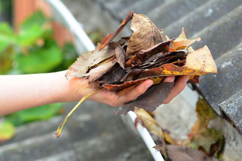 Gutter Leaves Removal