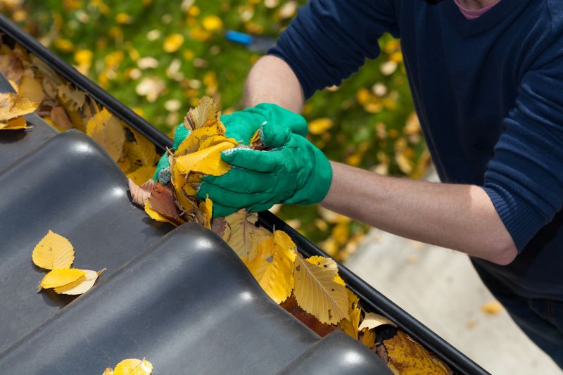 Fall Gutter Cleaning