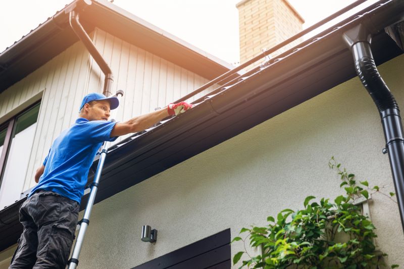 Local Gutter Cleaning Companies