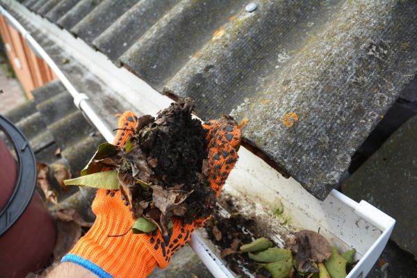 Seamless Gutter Cleaning in Jonesboro
