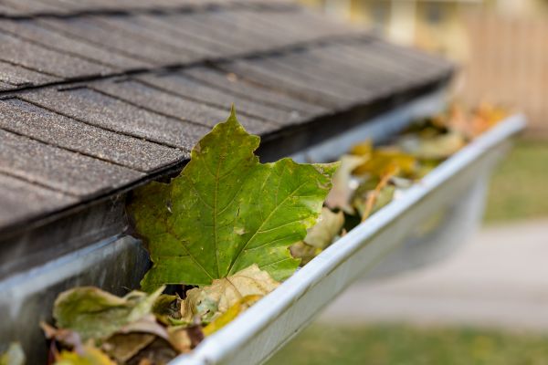 Gutter System Cleaning in Jonesboro