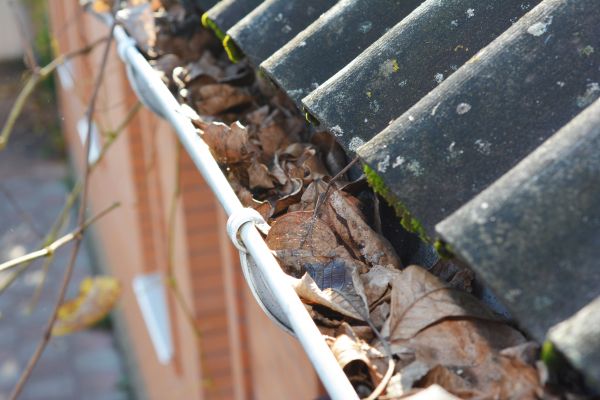Home Gutter Cleaning in Jonesboro