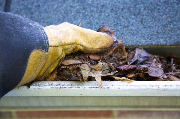 Jammed Gutter Cleaning